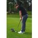 PuttOut Putting Mirror Trainer & Alignment Gate - Red/Gray - Buy Online on GoSupps.com