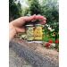 All Terrain Kids Herbal Armor Natural Insect Repellent - 2.0 fl oz (60 ml) | Safe & Effective Protection - Buy Online on GoSupps.com