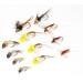 12 Favorite Fly Fishing Flies Assortment | Dry, Wet, Nymphs, Streamers, Wooly Buggers, Caddis | Trout, Bass Fishing Lure 12 Nymph Flies