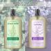 Everyday Aromatherapy Body Wash Duo | Eucalyptus Mint and Lavender Chamomile | 28oz Pack of 2 | Home and Body Company - Buy Online on GoSupps.com
