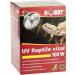 Hobby 37316 UV-Reptile Vital Desert 100W - Optimal Lighting for Reptiles | International Shipping Available - Buy Online on GoSupps.com