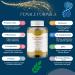 Probiotics for Women | Balance Intimate Flora & Fight Vaginal Infections | Lactobacillus & Bifidobacterium Blend | Bervera Nac Zinc - Buy Online on GoSupps.com