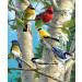 iCoostor Paint by Numbers DIY Acrylic Painting Kit for Kids & Adults Beginner - 16" x 20" Branch Magpie Pattern 16"Wx20"L Branch Magpie