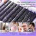 Self-Adhesive Eyelashes Kit - Wiwoseo No Glue D Curl Individual Clusters (50 Pcs, 8-16MM) for Beginners - Buy Online on GoSupps.com