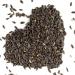 5kg Black Sunflower Seeds Wild Bird Food Sunflowers in Bucket (5kg) - Buy Online on GoSupps.com