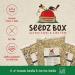 Bird Food Seed Feed Mix For Small Wild Garden Birds 1.8kg - SeedzBox Deluxe Grain & Nut Blend - Natural Food For Robins Blackbirds Sparrows - Millet Peanut Fats and Fibres 1.8 kg (Pack of 1) - Buy Online on GoSupps.com