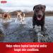 Sulfodene Dog Wound Care Ointment - Pain Relief & Infection Prevention for Cuts, Scrapes, Bites - 2 oz - Buy Online on GoSupps.com