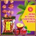 Asia Trans Li Hing Mui Crack Seed Plums - Sweet & Sour Dried Asian Plum Candy - Buy Online on GoSupps.com