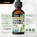 Chanca Piedra Tincture - Natural Kidney & Gallbladder Support - Vegan Alcohol & Sugar Free 2 Fl Oz - Buy Online on GoSupps.com