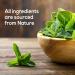 XyloBurst Xylitol Mints | Sugar Free Peppermint Breath Mints for Oral Health | Gluten Free Vegan Keto Friendly | Aspartame Free | 200 Count Jar - Buy Online on GoSupps.com