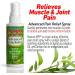 4 oz Advanced Pain Relief Spray for Muscles & Joints - 2 Pack | Fast International Shipping - Buy Online on GoSupps.com