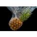 Ponthier Pineapple Puree 2x1kg - Premium Fruit Puree for Smoothies Sorbets & Toppings | Natural Ingredients No Additives - 2kg - Buy Online on GoSupps.com