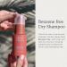Cleo+Coco Grapefruit Dry Shampoo Body Powder - 4oz | Odor & Wetness Absorbing | All-Natural with Essential Oils | Talc-Free | Made in USA - Buy Online on GoSupps.com