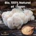 Complexe de Champignons en Poudre BIO (Reishi Chaga Shiitake Maitake Crini re de Lion Cordyceps Militaris et Champignon Blanc) | Samskara | Avec Min raux | 100g - LOT 2025 Fra cheur Garantie - Buy Online on GoSupps.com