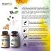 NutriRise Turmeric Curcumin & Ginger Supplement | 90 Capsules for Anti-Inflammatory & Joint Health - Buy Online on GoSupps.com