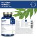 LIFEWIZE Cultures Complex Probiotics - 30 Mrd. KBE Lactobacillus Rhamnosus & Bifidobacteria with Organic Inulin | High Dose Vegan No Additives - Shop Internationally - Buy Online on GoSupps.com