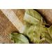 Dried Bay Leaves 20g - Authentic Indian Curry Spice for Biryani, Curries, Rice & Snacks | Harry Harvey - Buy Online on GoSupps.com