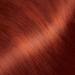 Nutrisse Ultra Color Nourishing Creme RC1 Copper Red Hair Dye - 2 Count Pack - Buy Online on GoSupps.com