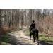 "BE COOL" COOKIES for a "Chilled Out" CALMER COOLER Horse - With Ashwagandha and B Vitamins - Buy Online on GoSupps.com