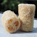 Organic Loofa Bath Sponge Set - 2 Exfoliating Scrubbers | Naturally Grown Loofah - HealthGoodsIn - Buy Online on GoSupps.com