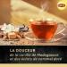 Lipton Rainforest Alliance Black Tea Vanilla & Caramel 60 Bags (Pack of 3 x 20 Bags) - Buy Online on GoSupps.com