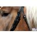 Shop Bridle Brilon X Noseband - Full Coldblood Extra Large Black Soft Leather | Tysons XX Full - International Shipping Available - Buy Online on GoSupps.com