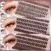 JIMIRE 300Pcs Brown Lash Clusters - Fluffy Wispy Eyelash Extensions D Curl 30D/40D/50D - DIY False Eyelashes Pack - Buy Online on GoSupps.com