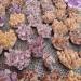 Crystal Rough 1pcs Natural Amethyst Cluster raw Stones geode ReikiQuartz Crystal Minerals Gemstone Remove Negative Suitable for Furniture Decoration (Size : 500-600g) - Buy Online on GoSupps.com