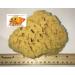 Natural Sea Sponge 5-6 inches - Renewable Resource for The Perfect Bath and Shower Experience - Buy Online on GoSupps.com