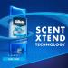 Gillette Men's Antiperspirant Deodorant Cool Wave Scent Clear Gel 3.8 Oz (Pack of 3) - Buy Online on GoSupps.com