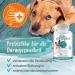 Ida Plus Darmiotic Probiotics for Dogs - Test Winner for Intestinal Renovation - 240 Tablets - Healthy Gut Flora & Immune Support - 2 Set - Buy Online on GoSupps.com