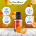Viva Doria 100% Pure Tangerine Essential Oil - Undiluted Food Grade Cold Pressed - 15 mL Made in USA - Premium Quality Aromatherapy - Buy Online on GoSupps.com