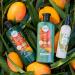 Herbal Essences Bio: Renew Aloe + Mango Conditioner for Curly Hair - 13.5 Fl Oz & 5.5 Fl Oz | Hydrating & Nourishing Formula - Buy Online on GoSupps.com