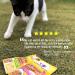 Wellness Healthy Indulgence Natural Grain Free Wet Cat Food  Morsels Turkey & Duck  3-Ounce Pouch (Pack Of 24) Turkey & Duck 3 Ounce (Pack of 24) - Buy Online on GoSupps.com