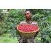 Lovegrass Ethiopia Roasted Single Origin Sidamo Coffee 250 g Whole bean Medium Roast - Buy Online on GoSupps.com