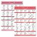 Palace Learning 2 Pack - Resistance Bands and Resistance Loops Workout Posters - Set of 2 Laminated Charts - Resistance Band Tubes and Loops Exercise Charts Light 18 x 24 LAMINATED