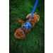 RUFFWEAR Front Range Medium Dog Collar - Adjustable Length, Comfortable Fabric, Aluminium V-Ring - 36-51cm - Spring Fade - Buy Online on GoSupps.com