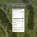 Gainful Daily Performance Greens Powder Gut Health Energy Focus and Immune Support with L Theanine Organic Greens Chlorella Ginger Green + Adaptogen Drink Mix (10 Pack Tropical Pineapple) - Buy Online on GoSupps.com