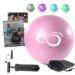 Live Infinitely 9 Inch Barre Pilates Ball & Hand Pump Anti Burst Mini Ball & Digital Workout eBook Included for Yoga, Exercise, Balance & Stability Training  Comes with Mesh Carrying Bag Rose 9 Inch
