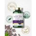 Carlyle Grape Seed Extract 24,000 mg - 240 Capsules | Antioxidant Support - Buy Online on GoSupps.com