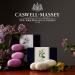 Caswell-Massey Triple Milled Gardenia Three-Soap Set - Made in USA, 5.8 oz Bars, Scented & Moisturizing Bath Soap for Women - Buy Online on GoSupps.com