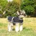 Dog Warm Coats Dog Jackets Waterproof with Fleece Lining Dog Coats Waterproof Dog Rain Coat Dog Clothes Dog Raincoats Thickened Dog Fleece Jumper Rain Coats for Large Dogs - Blue XL XL Blue - Buy Online on GoSupps.com