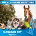 Buy Bluepet 3 Set Tick Hooks - Proven Tick Remover for Dogs Cats Horses & Humans | Alternative to Tweezers | Bestselling Tick Protection Tools - Buy Online on GoSupps.com