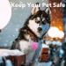 Homeet 6-Pack LED Dog Safety Flashing Light - Clip-On Luminous Band with 3 Flashing Modes for Pet Safety - Buy Online on GoSupps.com