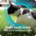 Sergeant's Guardian Pro Flea & Tick Cat Collar - 1 Count - Buy Online on GoSupps.com
