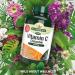 Natures Aid Vitamin C 500mg Chewable Tablets - Vegan Friendly & Sugar Free - 100 Count - Buy Online on GoSupps.com