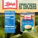 Libby's Crispy Sauerkraut - Classic Barrel Aged Tangy-Sour Taste - Crunchy and Translucent Golden Color - Shredded White Cabbage - 8 oz Can (Pack of 12) - Buy Online on GoSupps.com