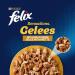 FELIX Sensations Jelly Wet Cat Food with Chicken & Carrot - 26 Pack (26 x 85g) - Premium Gourmet Cat Food for Happy Healthy Cats - Buy Online on GoSupps.com