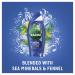 Radox Feel Awake for Men 2 in 1 Shower & Shampoo 250ml - Refreshing Body Wash & Hair Care | International Shipping Available - Buy Online on GoSupps.com