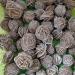 1PCS Natural Desert Rose Crystal Stone Specimen Crystal Rock Stones Original Specimen Cluster Stone - Buy Online on GoSupps.com
